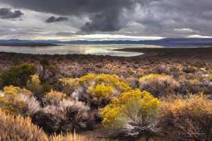 Mono Lake-8724-3.jpg